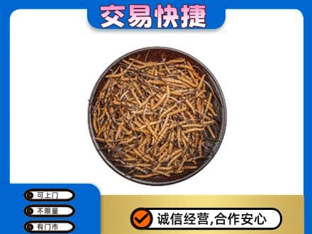 临汾汾西县回收散虫草